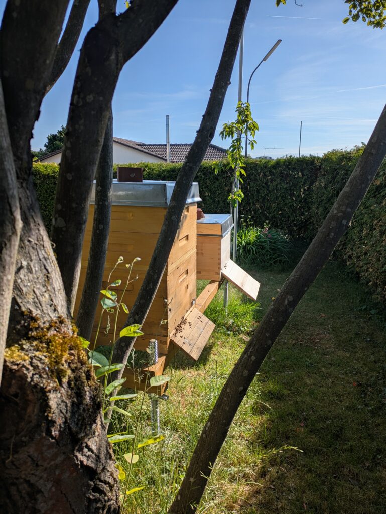 Mein Bienenstand